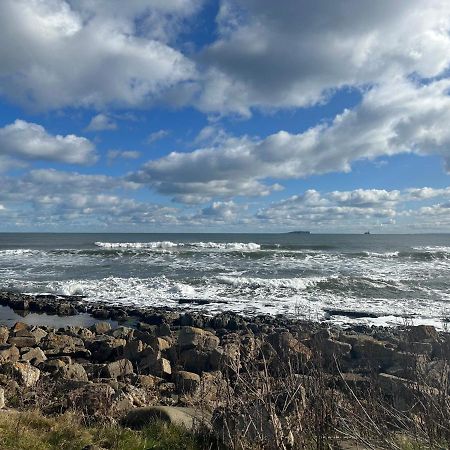 Denburn Cottage, East Neuk Of Fife Colinsburgh Экстерьер фото